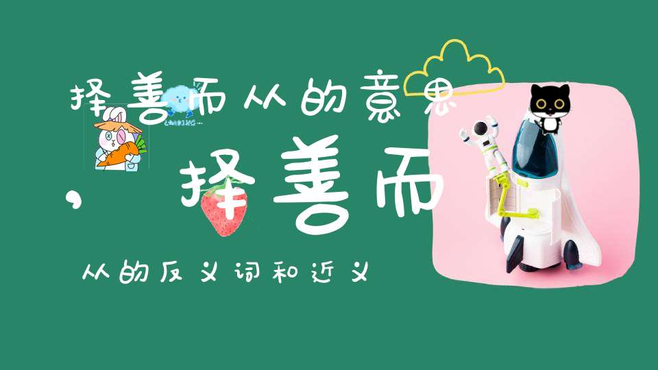 择善而从的意思,择善而从的反义词和近义词,择善而从成语接龙